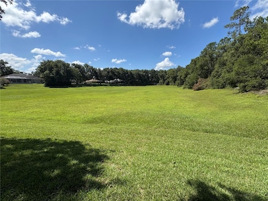 19574 SW 84th Place, Dunnellon, FL 34432 - photo 7