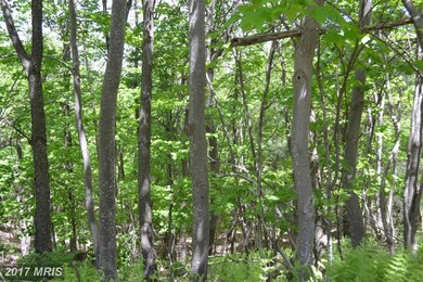 0 Shenandoah Mountain Rd unit 1000213733, Mathias, WV 26812 - photo 5