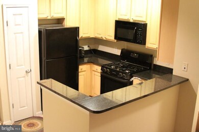 The Grove At Arlington unit 209, Arlington, VA 22206 - photo 2