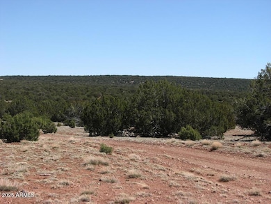 9529 Southern Ln, Show Low, AZ 85901 - photo 7