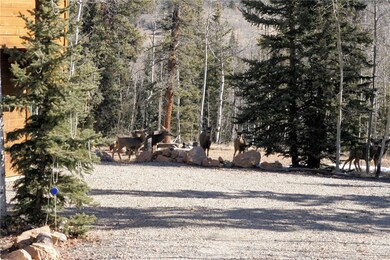 143 Ute Cir, Como, CO 80432 - photo 5