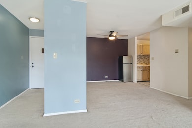 24A Kingery Quarter unit 202, Willowbrook, IL 60527 - photo 5