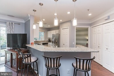 12491 Hayes Ct unit 101, Fairfax, VA 22033 - photo 7