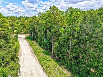 0 NE 51st Place, Williston, FL 32696 - photo 6