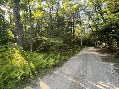 Lot #17R Waterview Trail, Bridgton, ME 04009 - photo 4