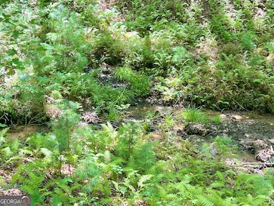 62 Peach Ln, Ellijay, GA 30536 - photo 2