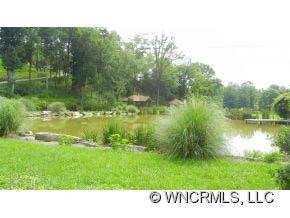 921 Old Leicester Hwy, Asheville, NC 28806 - photo 3