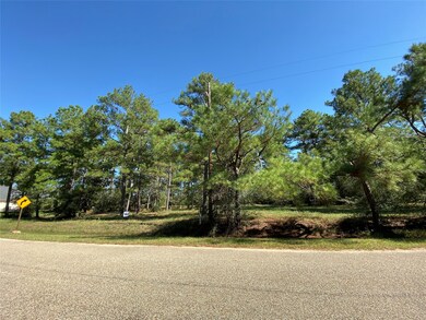 000 Tudor Way, Magnolia, TX 77355 - photo 6