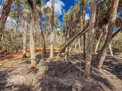 Build Your Home Here with an Opportunity for Peace and Quiet