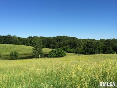 0 Illinois Route 78, Jacksonville, IL 62650 - photo 3