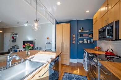 369 Tappan St unit 13, Brookline, MA 02445 - photo 5