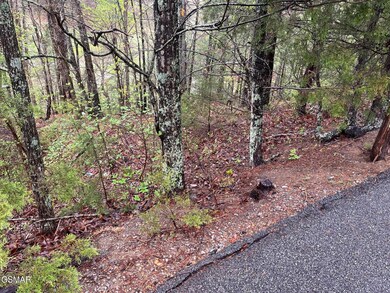 Lot 1 Mountain View Ln, Pigeon Forge, TN 37863 - photo 4