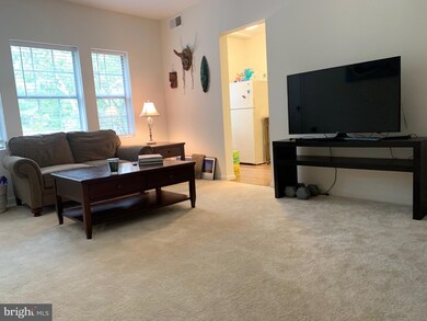 1917 N Rhodes St unit 13, Arlington, VA 22201 - photo 3