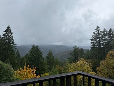 0000 Saber Tooth Rd, Willow Creek, CA 95525 - photo 7