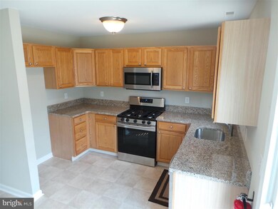 197 Billows Dr, Mount Royal, NJ 08061 - photo 5