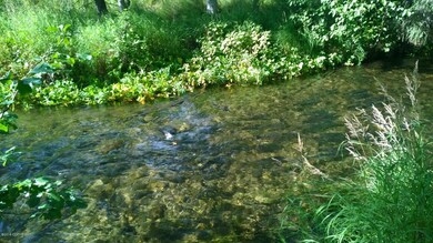 Salmon Run
