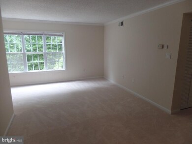 15548 Horseshoe Ln, Woodbridge, VA 22191 - photo 5