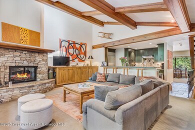 851 S Ute Ave unit B, Aspen, CO 81611 - photo 3