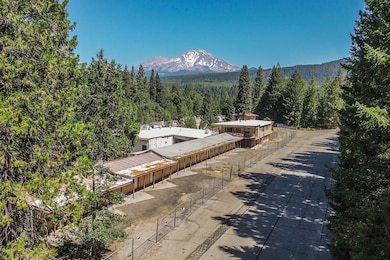 4221 Siskiyou Ave, Dunsmuir, CA 96025 - photo 2