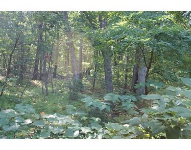 0 Stark Ave unit 72232375, Wakefield, MA 01880 - photo 5