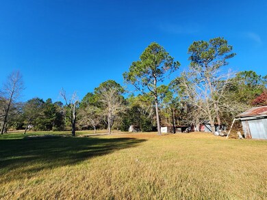163 Merritt Rd, Sylvester, GA 31791 - photo 4