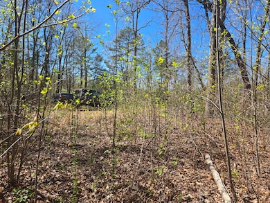 Tbd Hornet Dr, Whittier, NC 28789 - photo 7