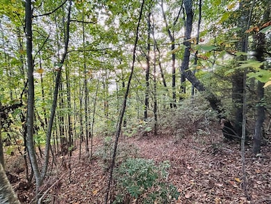 TBD Morning Side Trail, Fancy Gap, VA 24328 - photo 3