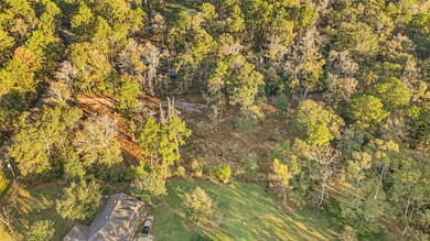 18243 Emerald Forest Dr, New Caney, TX 77357 - photo 3