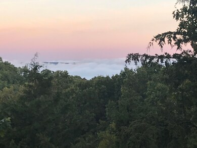 55 James View Rd, Kimberling City, MO 65686 - photo 2