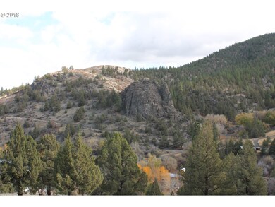 0 S Adam Dr unit 18349443, Canyon City, OR 97820 - photo 6