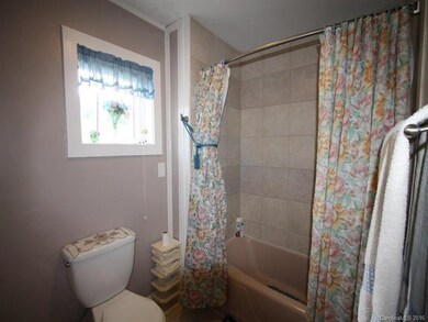 3431 New Leicester Hwy, Leicester, NC 28748 - photo 4