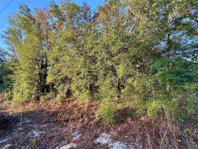 0 NW 16th Place unit MFROM714894, Ocala, FL 34482 - photo 7