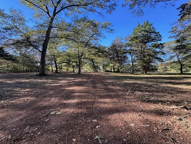 10699 Magnolia Dr, Conroe, TX 77303 - photo 6