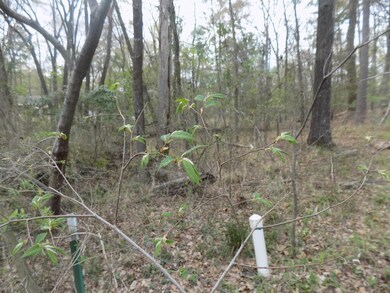 0 Shilling Rd, Texarkana, TX 75503 - photo 7