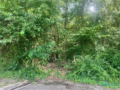 6324 Bapst Ave, Toledo, OH 43615 - photo 2