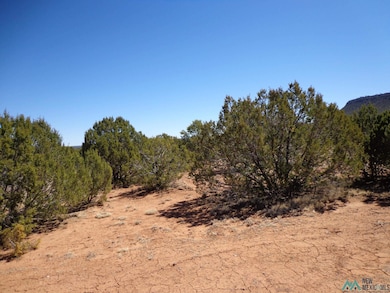 Tr 2A Camino Del Sol Rd, Bernal, NM 87569 - photo 3