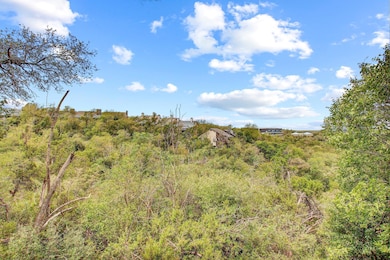 View of local wilderness