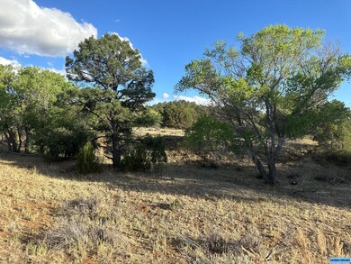 TBD Linda Dr, Silver City, NM 88061 - photo 4