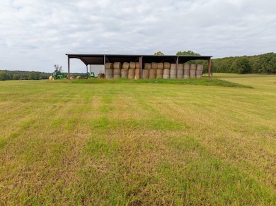 244 Denison Rd, Rose Bud, AR 72137 - photo 5