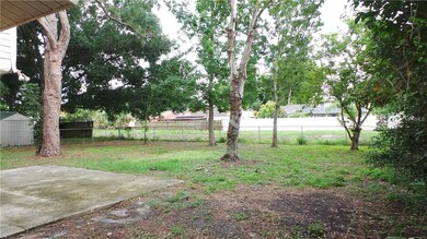 Back yard.