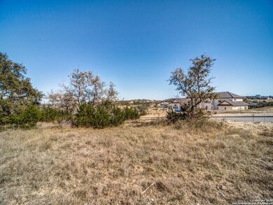 10411 Doherty Springs, San Antonio, TX 78255 - photo 2