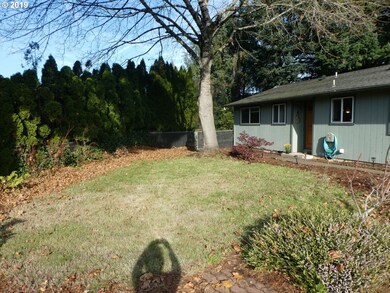 Front Yard
