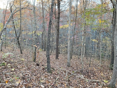 0 Cumberland View Dr unit 1321574, Crossville, TN 38571 - photo 3