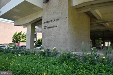 Tiber Island unit W110, Washington, DC 20024 - photo 3