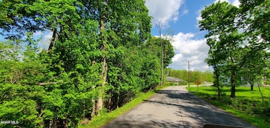 585 Berwind Rd, Hollidaysburg, PA 16648 - photo 3