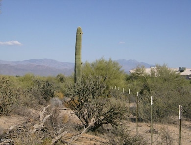 12 005