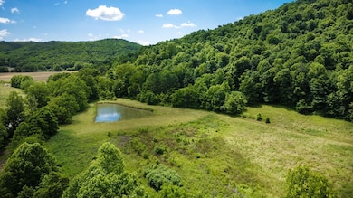 12808 Ohio 348, Otway, OH 45657 - photo 6