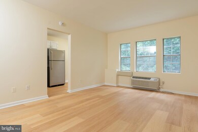 1909 N Rhodes St unit 29, Arlington, VA 22201 - photo 3