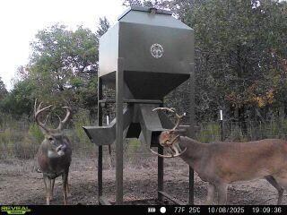 0000 Cr 3840, Coalgate, OK 74538 - photo 5