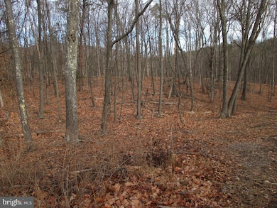 101 Howdyshell Hill Rd, Keyser, WV 26726 - photo 4